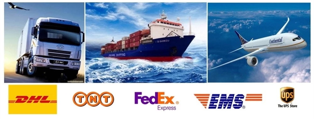 Packing and Delivery Overview 3
