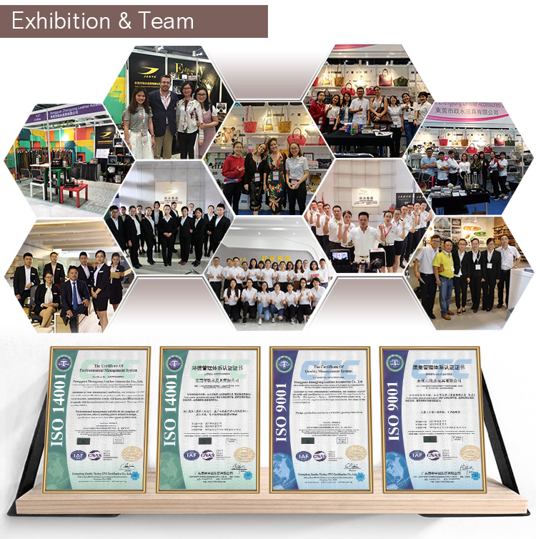 Exhibition Displays and Team