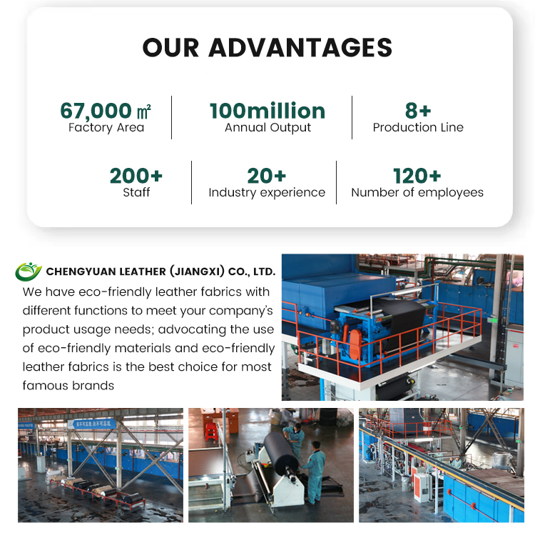 Company Advantage 2
