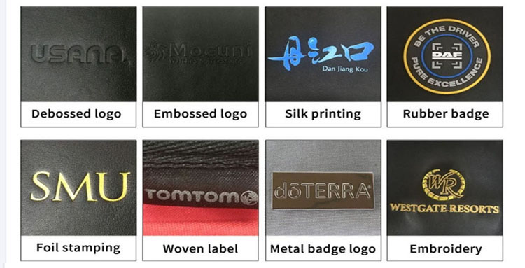 Logo customization options