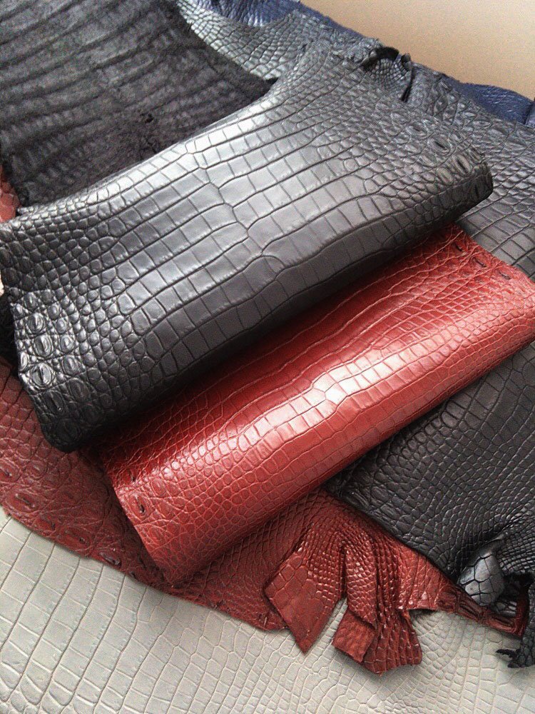 Crocodile Hide Texture Close Up